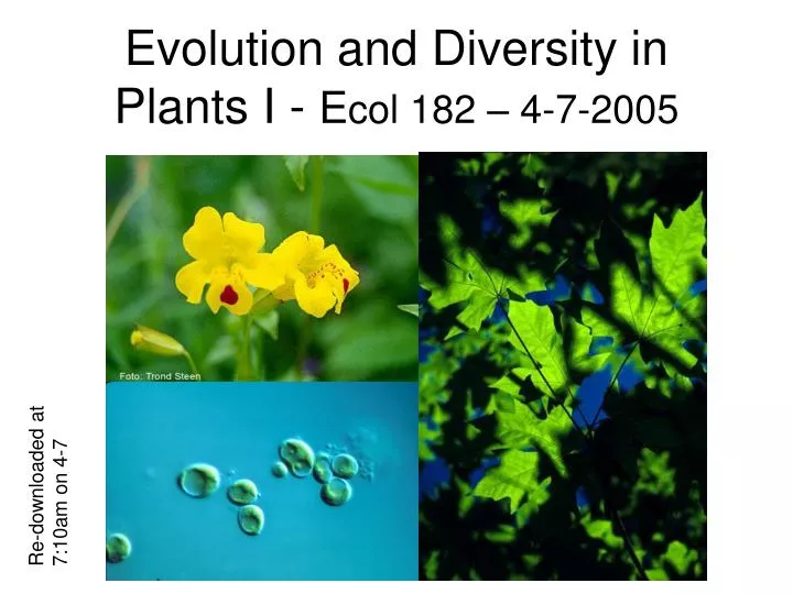 evolution and diversity in plants i e col 182 4 7 2005