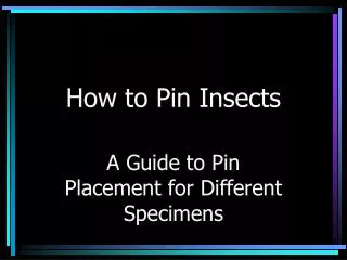 How to Pin Insects