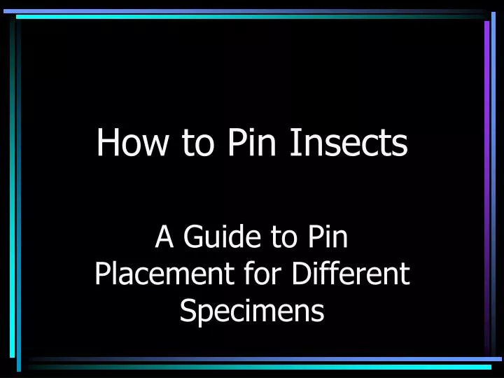 how to pin insects