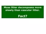 Moss litter decomposes more slowly than vascular litter. Fact? - slide 1