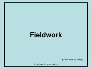 Fieldwork