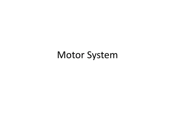 motor system