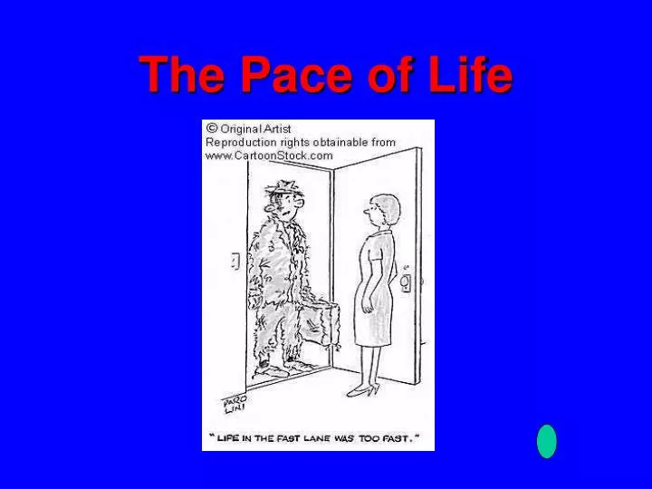 the pace of life