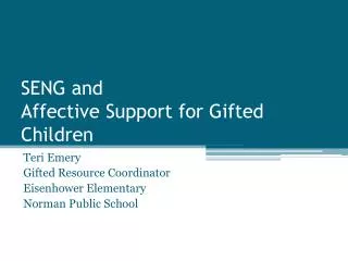 SENG and Affective Support for Gifted Children