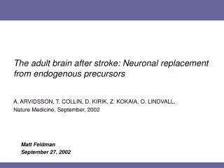 The adult brain after stroke: Neuronal replacement from endogenous precursors