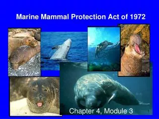 Marine Mammal Protection Act of 1972