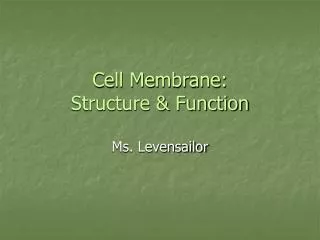 Cell Membrane: Structure &amp; Function
