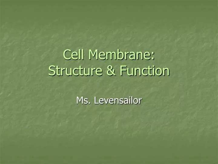 cell membrane structure function