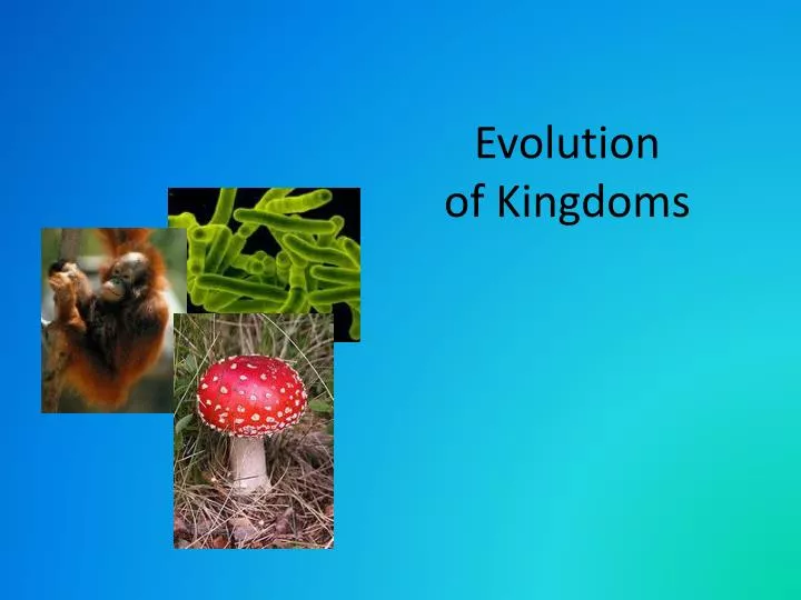 evolution of kingdoms