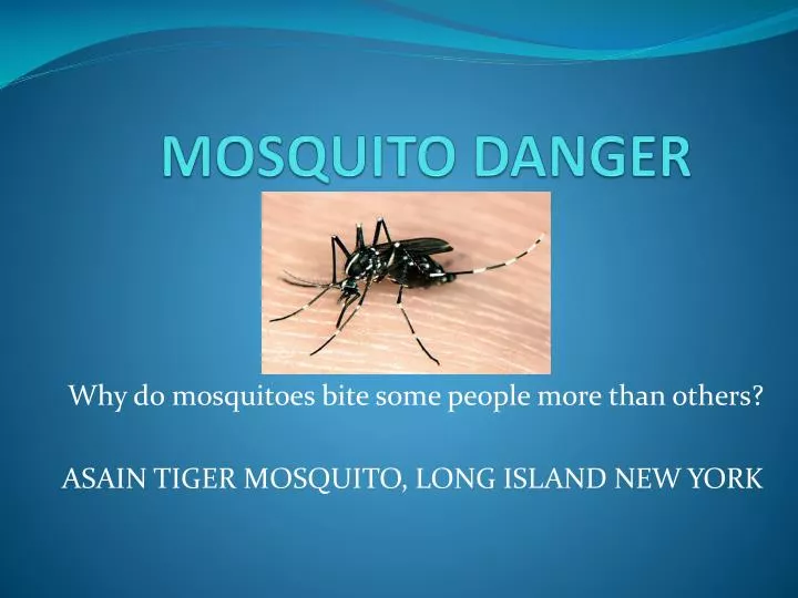 mosquito danger