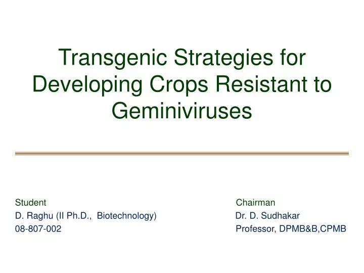 transgenic strategies for developing crops resistant to geminiviruses