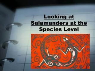 Looking at Salamanders at the Species Level
