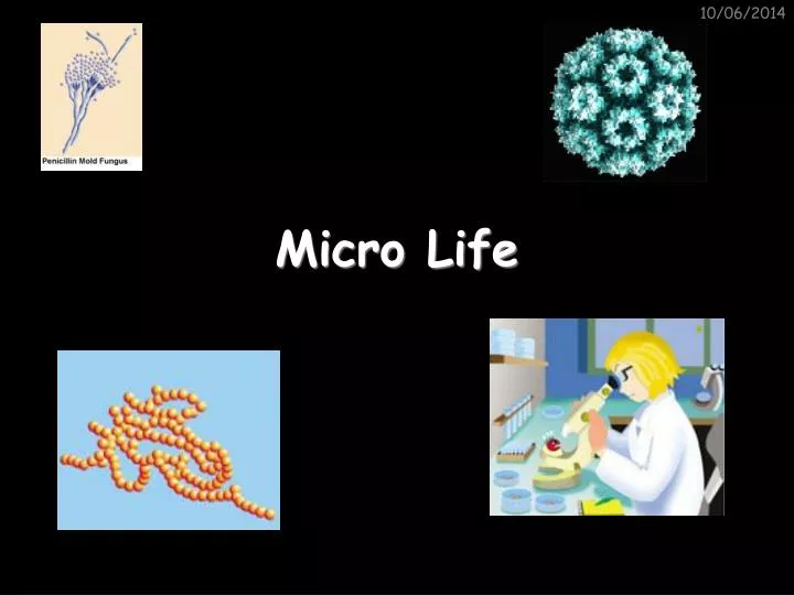 micro life