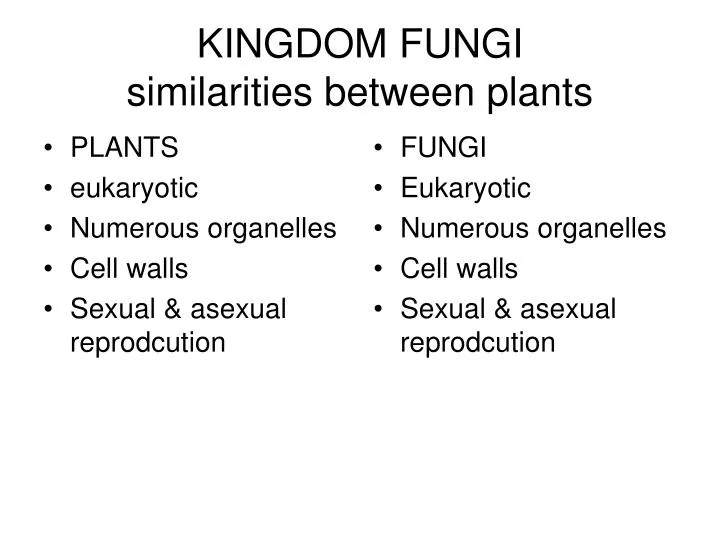 kingdom fungi similarities between plants