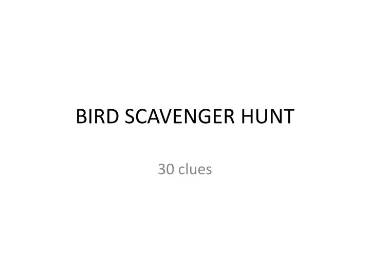 bird scavenger hunt