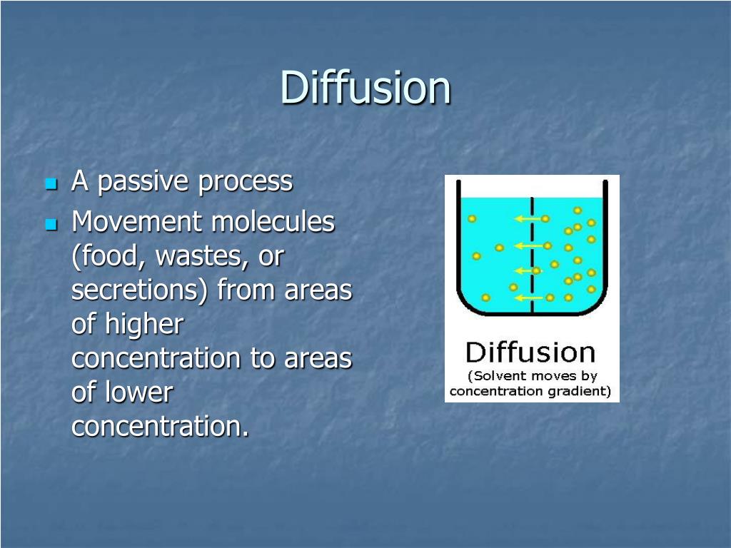 PPT - Diffusion PowerPoint Presentation, free download - ID:1463306