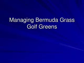 Managing Bermuda Grass Golf Greens