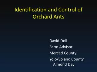 Identification and Control of Orchard Ants