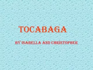 Tocabaga