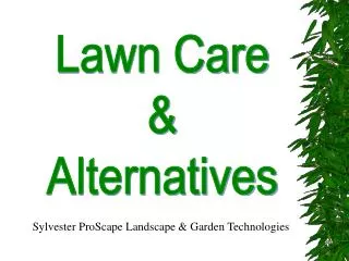 Lawn Care &amp; Alternatives