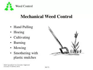 Mechanical Weed Control