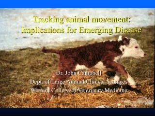 Tracking animal movement: Implications for Emerging Disease