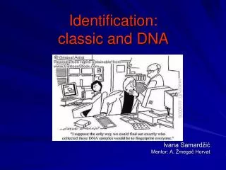 Identification: classic and DNA