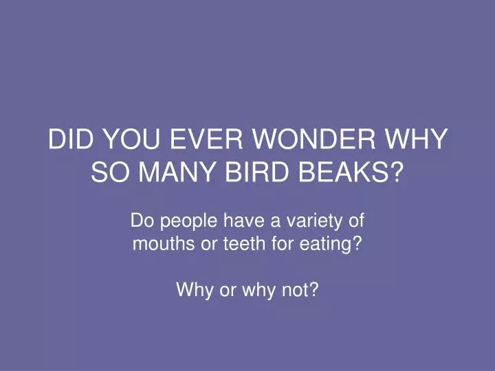 did you ever wonder why so many bird beaks