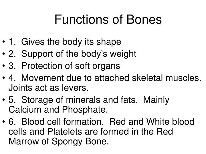 functions of bones