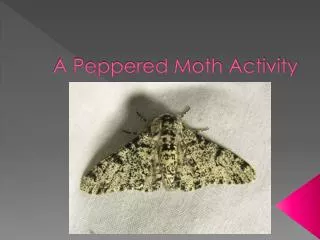 A Peppered Moth Activity