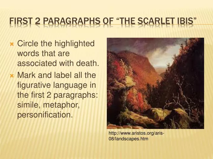 first 2 paragraphs of the scarlet ibis