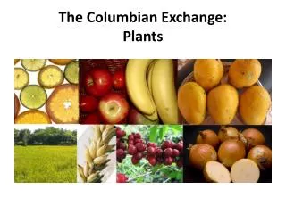 The Columbian Exchange: Plants