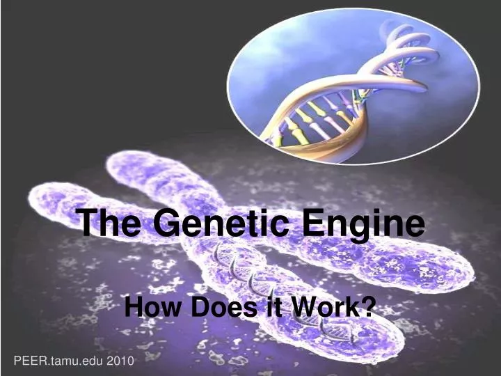 the genetic engine how does it work