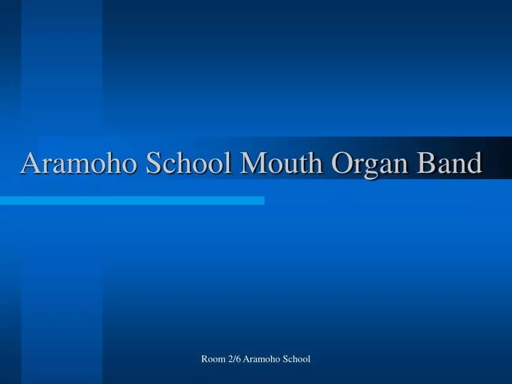 aramoho school mouth organ band
