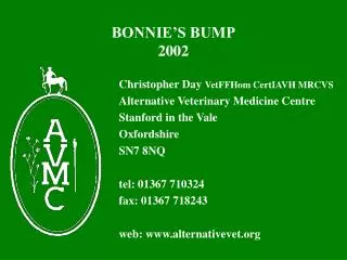 BONNIE’S BUMP 2002
