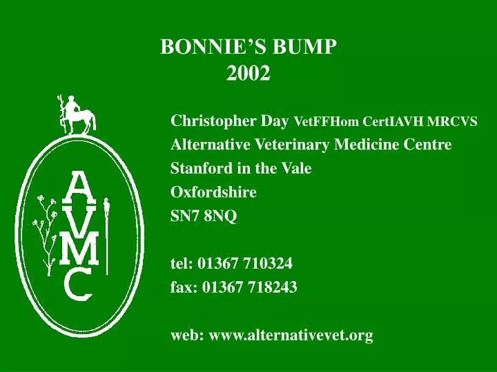 bonnie s bump 2002
