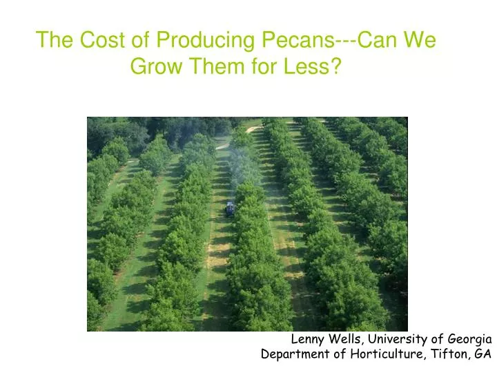 the cost of producing pecans can we grow them for less