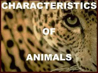 CHARACTERISTICS OF ANIMALS