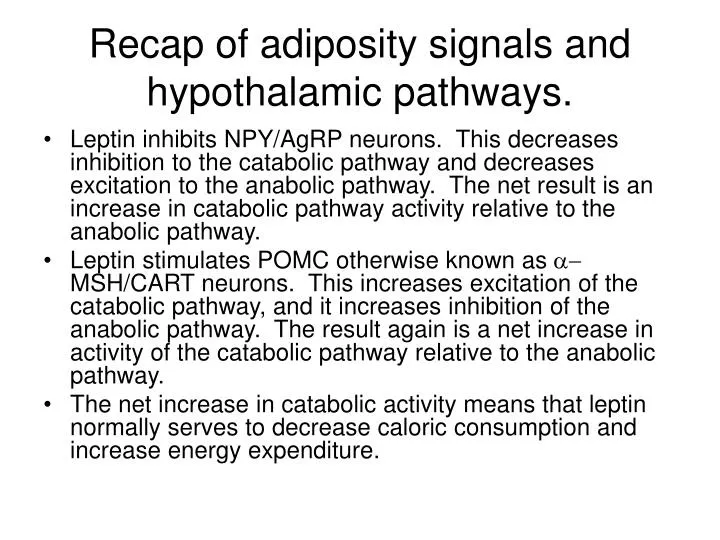 recap of adiposity signals and hypothalamic pathways
