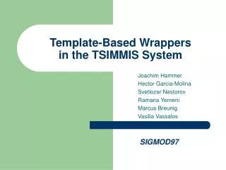 Template-Based Wrappers in the TSIMMIS System