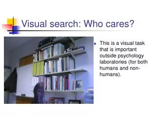 Visual search: Who cares?