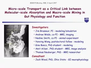 Micro-scale Transport as a Critical Link between Molecular-scale Absorption and Macro-scale Mixing in Gut Physiology an