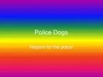 dog - slide 1