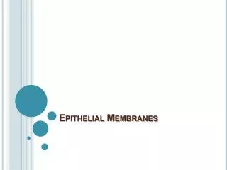 epithelial membranes