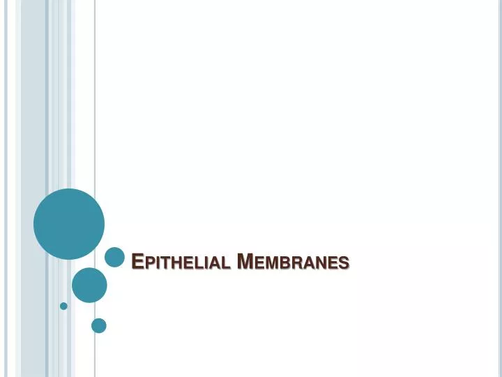epithelial membranes