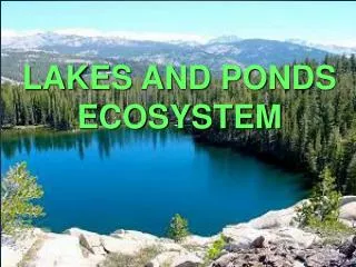 LAKES AND PONDS ECOSYSTEM