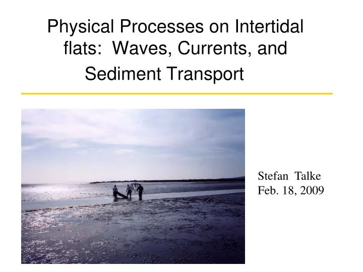 physical processes on intertidal flats waves currents and sediment transport