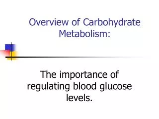Overview of Carbohydrate Metabolism: