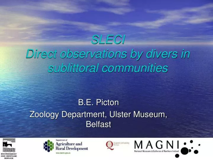 sleci direct observations by divers in sublittoral communities