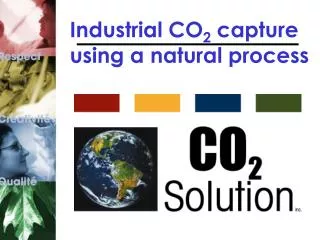 Industrial CO 2 capture using a natural process